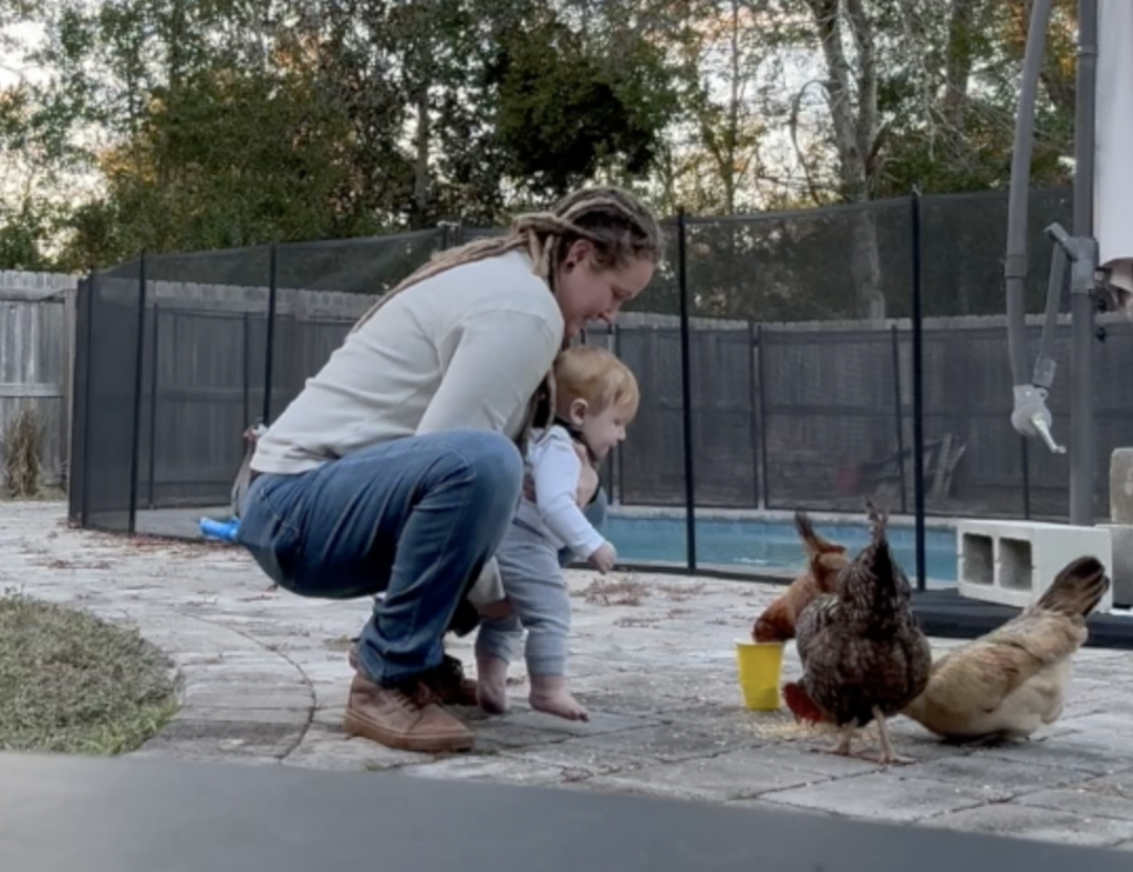 A mom and little boy leaning down to pet chickens